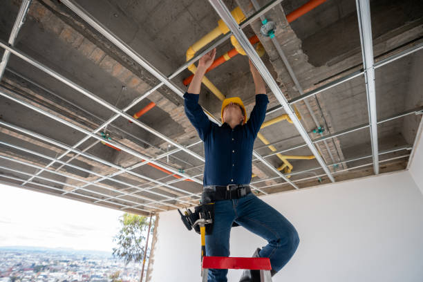 Best Commercial Plumbing Services  in Kahoka, MO